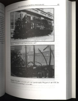 Fachbuch Züge im Licht der Laternen NEU informatives Buch mit vielen Bildern 